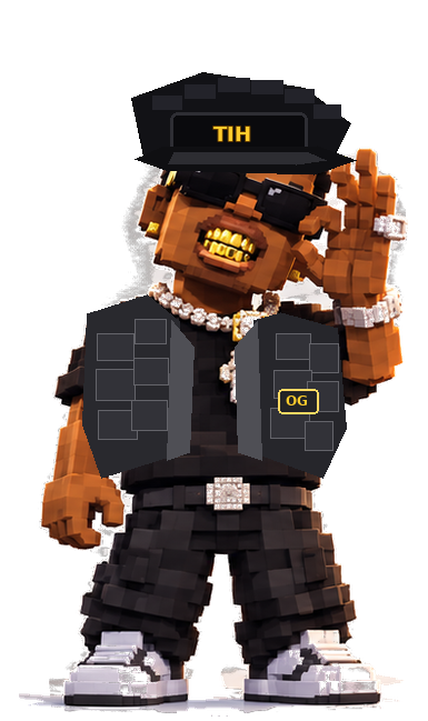 TIH OG voxel character